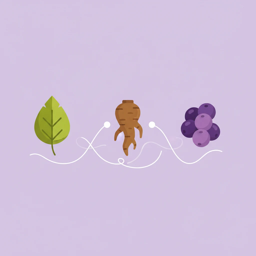 Illustratie botanische extracten - plantaardig supplement ingrediënten overzicht